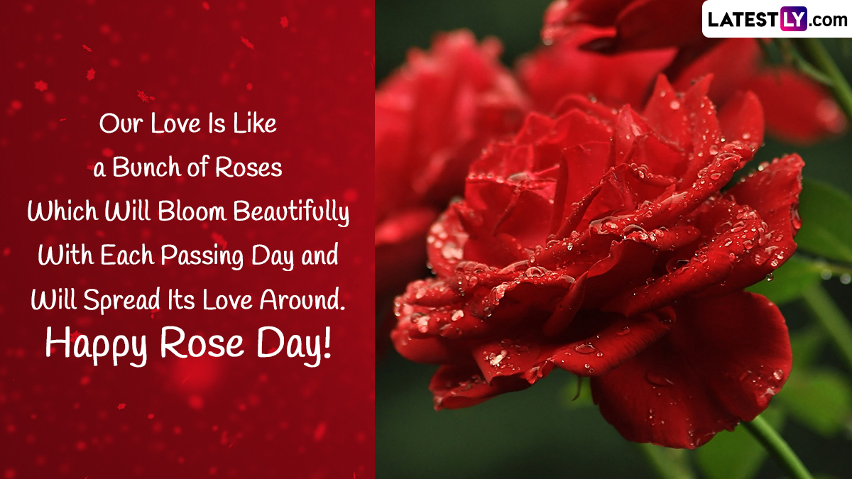 Rose Day 2023 Romantic Messages & GIF Images WhatsApp Greetings