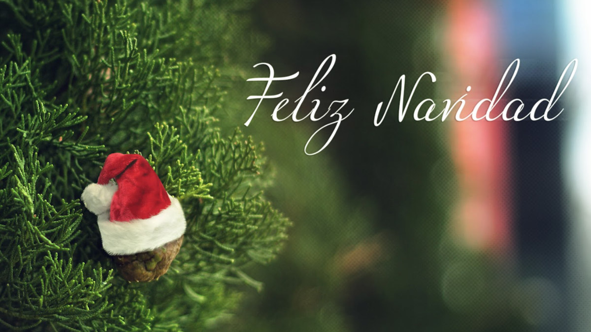 Feliz Navidad 2024 Images and HD Wallpapers for Free Download Online