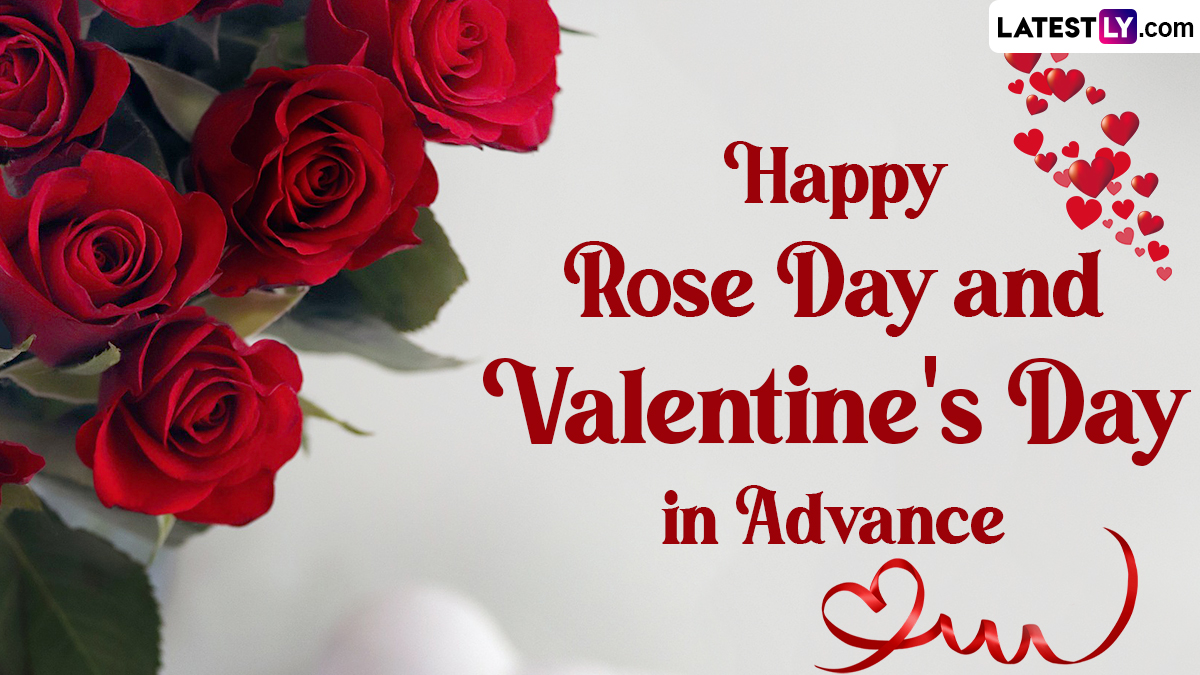 Rose Day 2024 Images & HD Wallpapers for Free Download Online: Wish Happy  Rose Day With WhatsApp Stickers, Facebook Messages, Quotes and Greetings