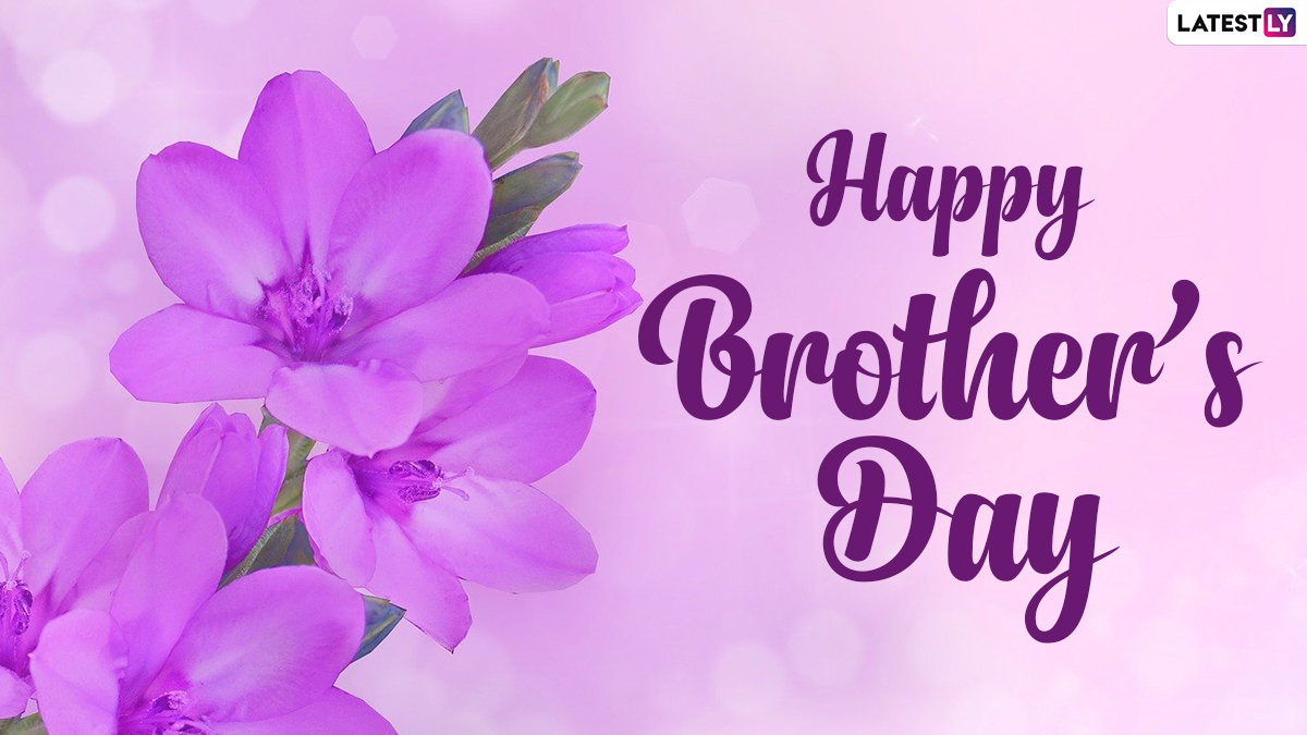 Brother's Day 2024 Images and HD Wallpapers For Free Download Online