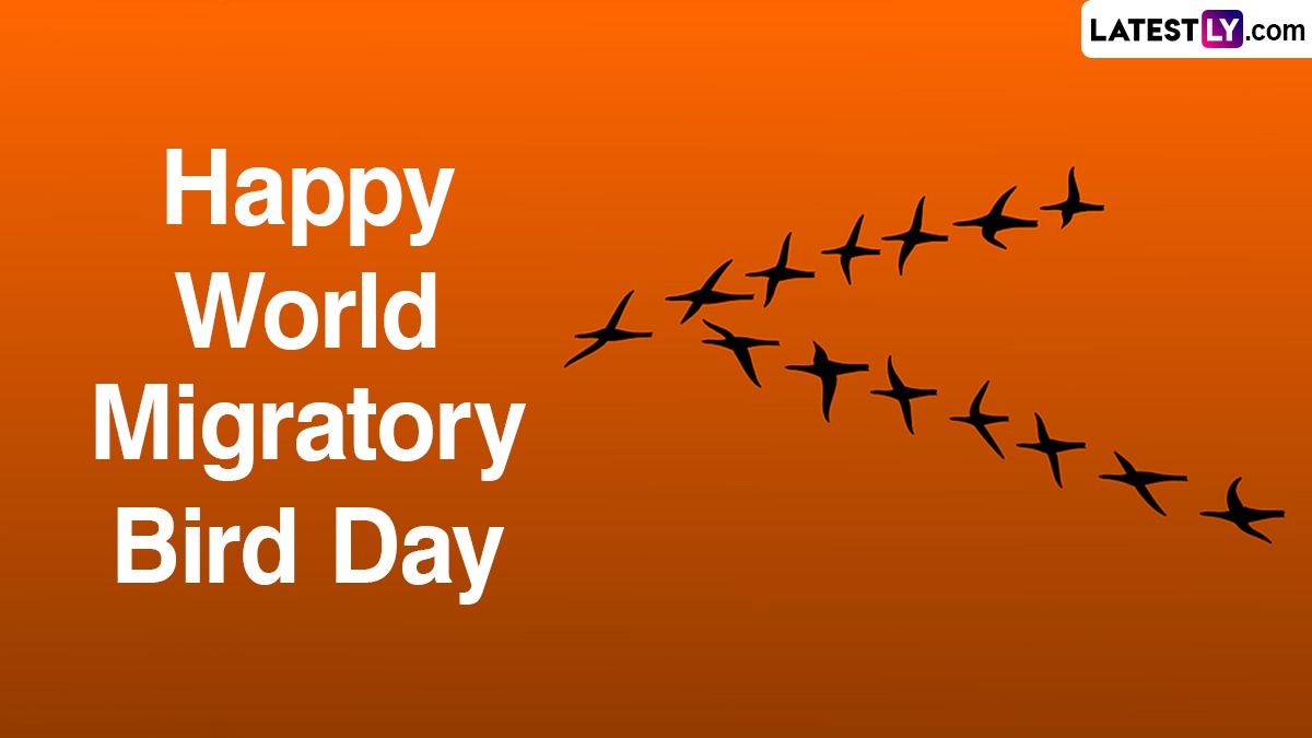 World Migratory Bird Day 2024 Images and Messages Important Quotes