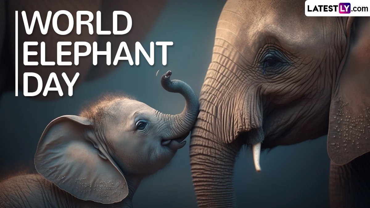 World Elephant Day 2024 HD Images and Wallpapers for Free Download