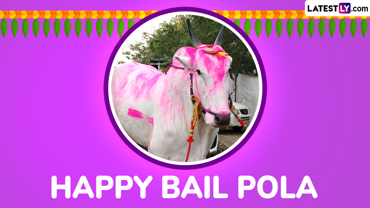 Bail Pola 2024 Images and HD Wallpapers for Free Download Online Wish