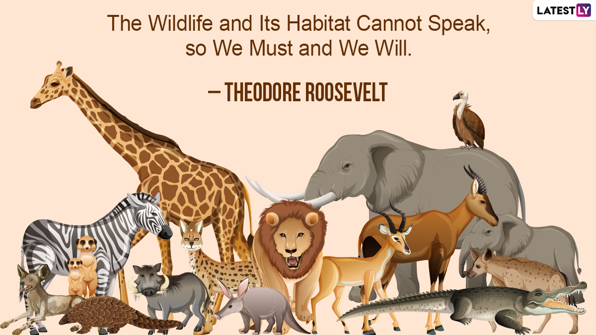 National Wildlife Day 2024 Quotes and Slogans Share Wildlife