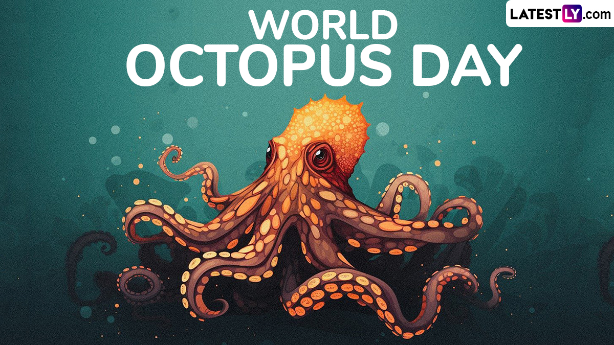 World Octopus Day 2024 2024 Images and HD Wallpapers for Free Download