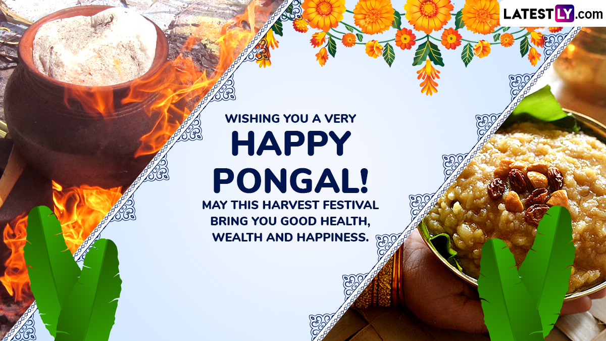 Happy Thai Pongal 2025 Greetings Share Pongal Wishes, HD Images